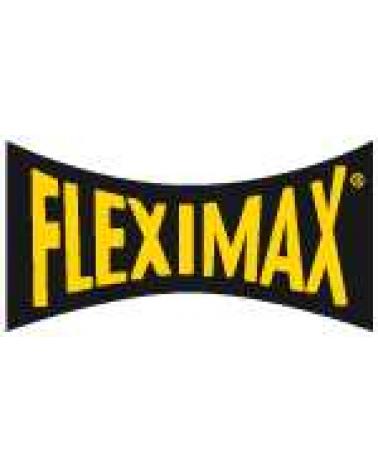 Logo de FLEXIMAX