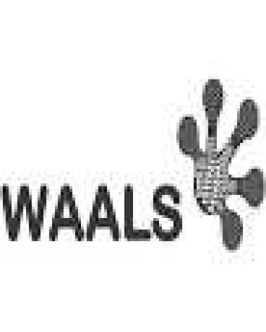 Logo de WAALS