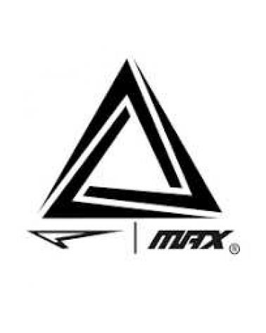 Logo de MAX SPORTS