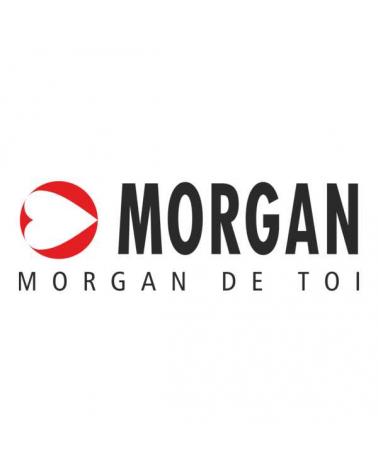 Logo de MORGAN