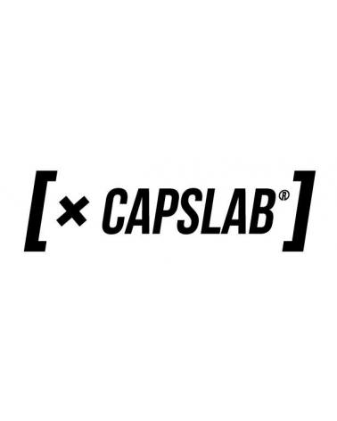Logo de CAPSLAB