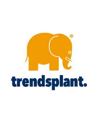 Logo de TRENDSPLANT