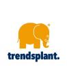 TRENDSPLANT