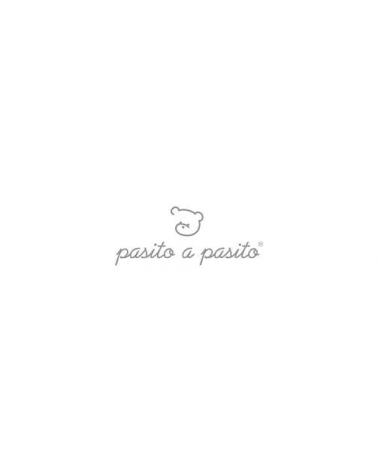 Logo de PASITO A PASITO