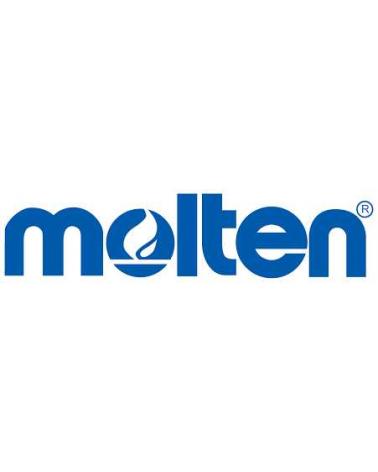 Logo de MOLTEN