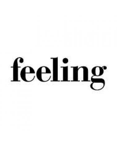 Logo de AND FEELINGS