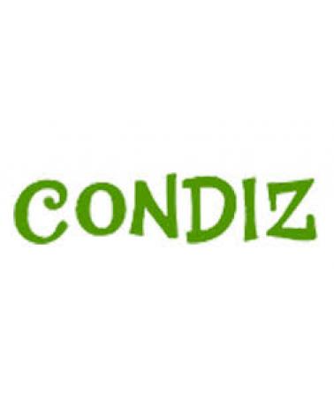 Logo de CONDIZ