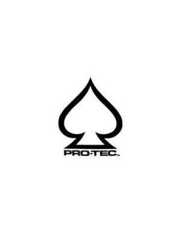 Logo de PRO-TEC