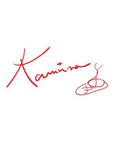 Logo de KAMINA