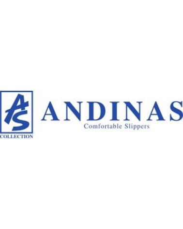 Logo de ANDINAS