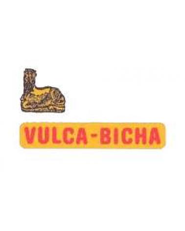 Logo de VULCA-BICHA