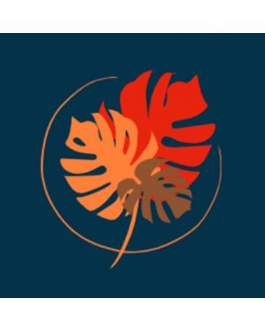 Logo de BREEZE