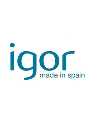 Logo de IGOR