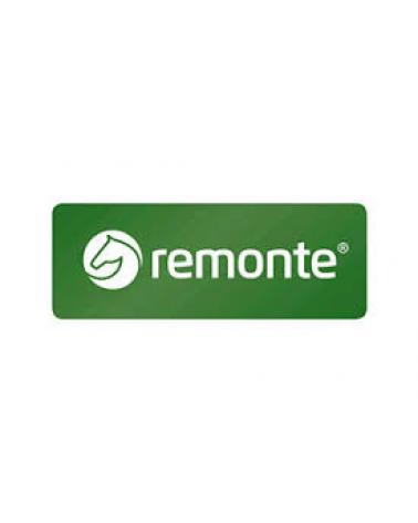 Logo de REMONTE
