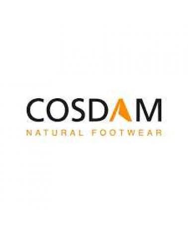 Logo de COSDAM