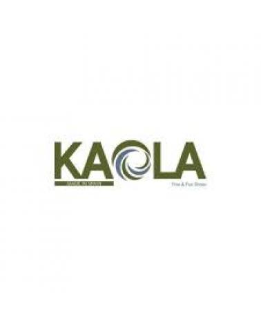 Logo de KAOLA