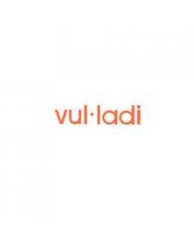Logo de VUL-LADI