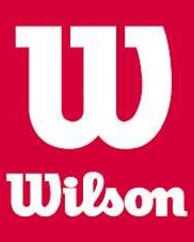 Logo de WILSON