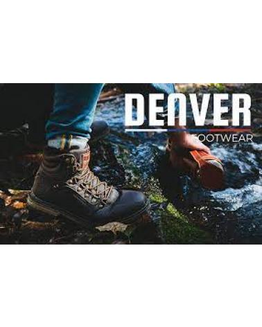 Logo de DENVER
