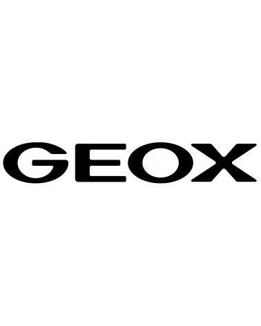Logo de GEOX