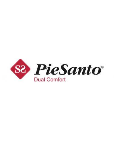 Logo de PIESANTO