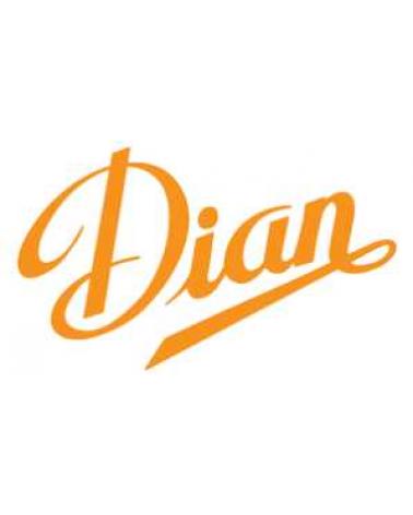 Logo de DIAN