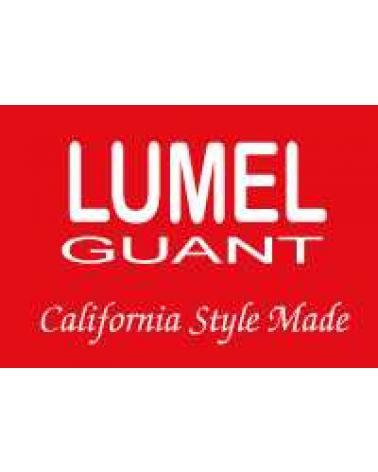 Logo de LUMEL