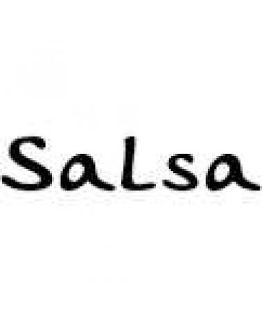 Logo de SALSA
