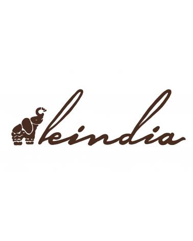 Logo de LEINDIA