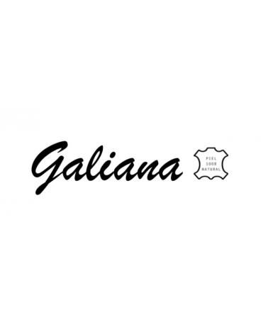 Logo de GALIANA
