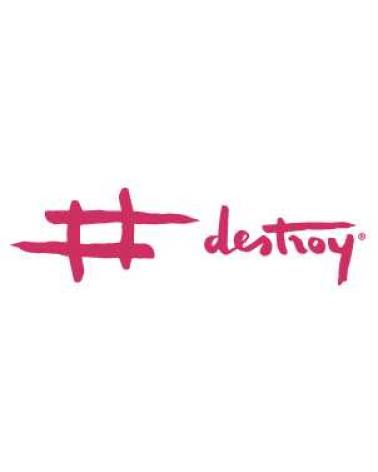 Logo de DESTROY