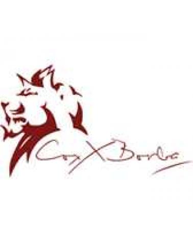 Logo de COXX BORBA