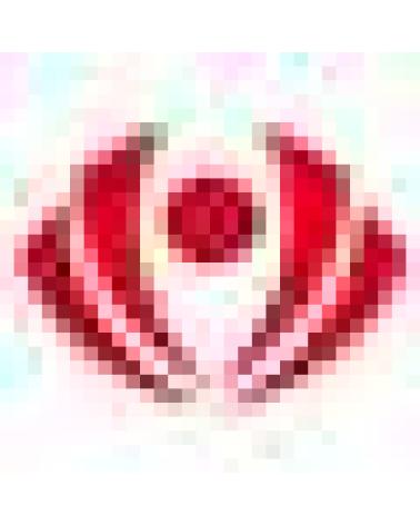 Logo de PANTER