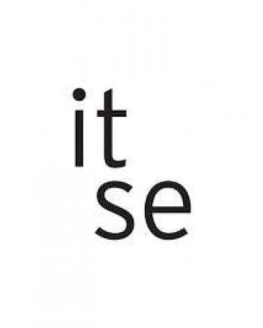 Logo de ITSE