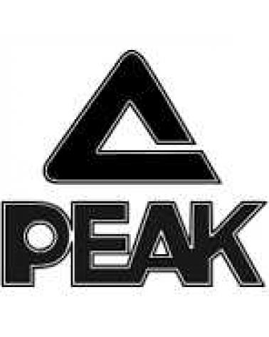 Logo de PEAK