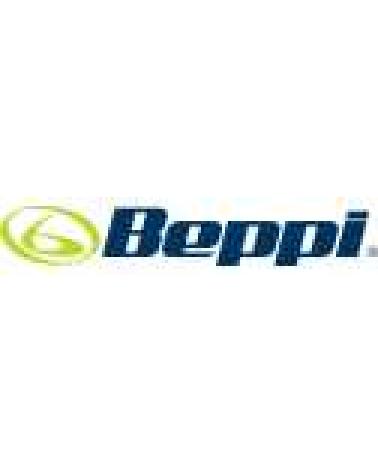 Logo de BEPPI