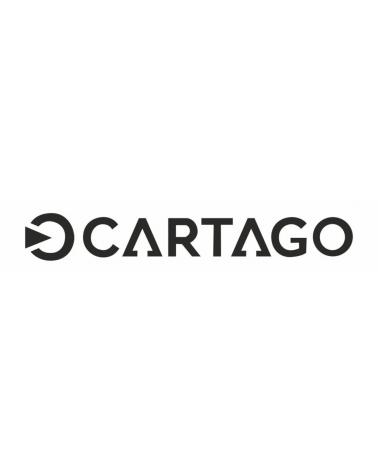Logo de CARTAGO