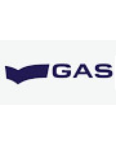 Logo de GAS