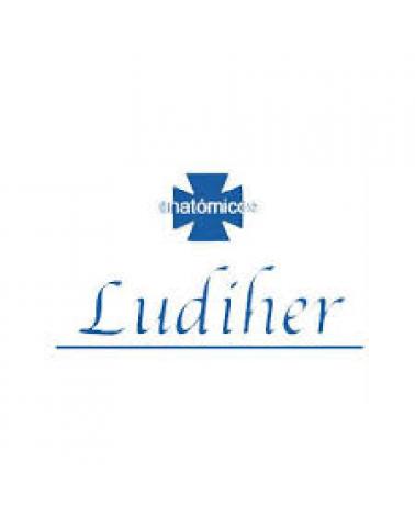 Logo de LUDIHER
